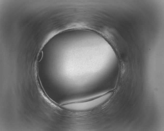 X0000080681382200612151211