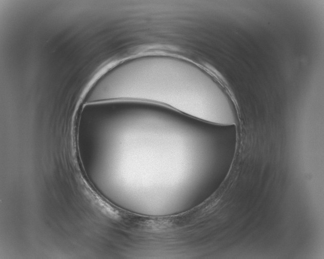 X0000080681384200612151211