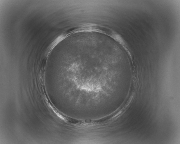 X0000080681385200612151211