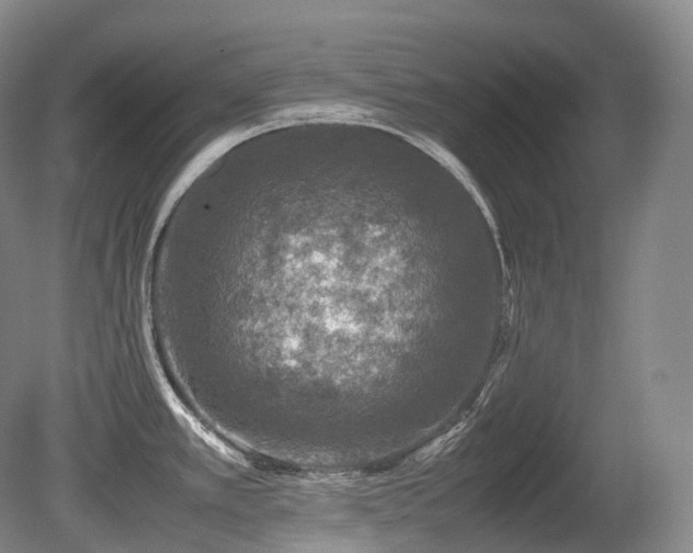 X0000080681389200612151211