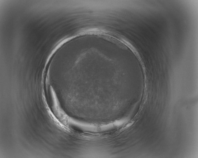 X0000080681392200612151211