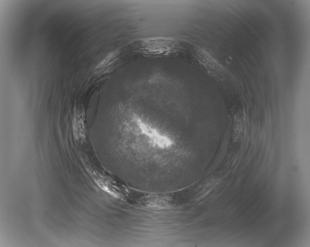 X0000080681394200612151210