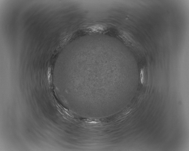 X0000080681395200612151210
