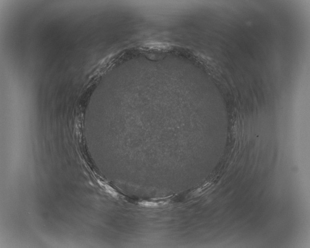 X0000080681397200612151211