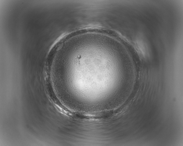 X0000080681400200612151211