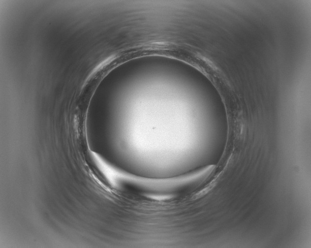 X0000080681402200612151211