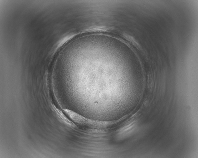 X0000080681404200612151211