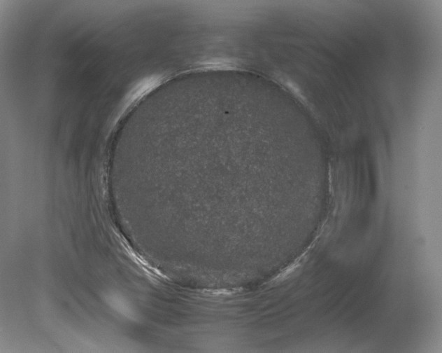 X0000080681405200612151211