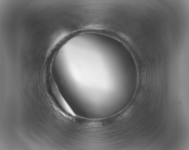 X0000080681406200612151211