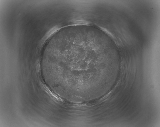 X0000080681407200612151211