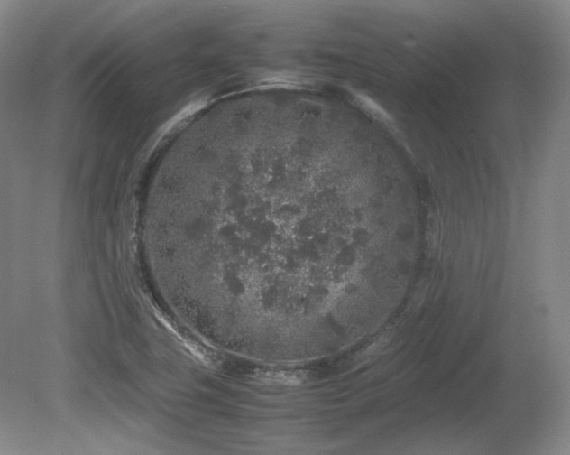 X0000080681411200612151211