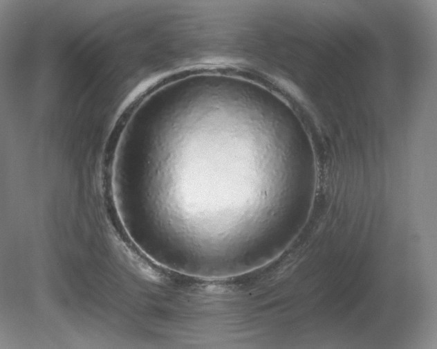 X0000080681412200612151211