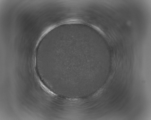 X0000080681413200612151211