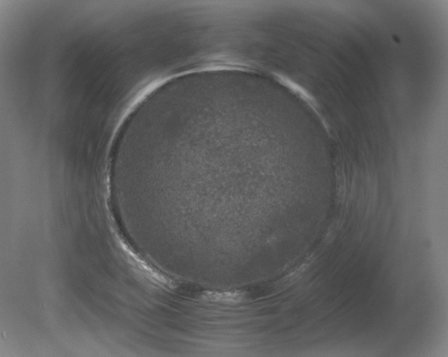 X0000080681415200612151211