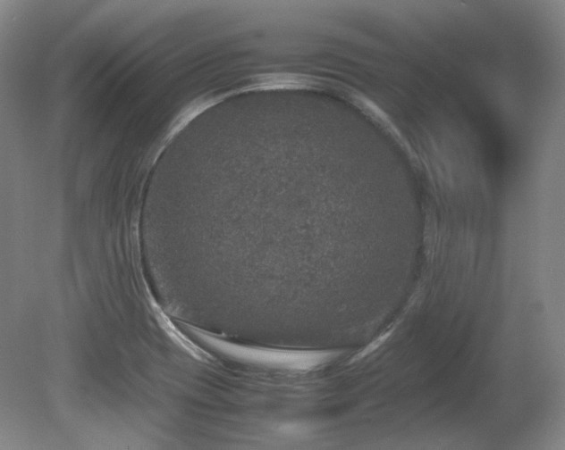 X0000080681417200612151211