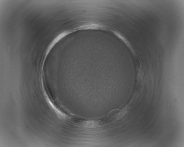X0000080681418200612151211