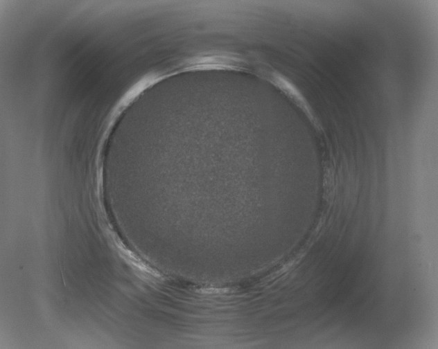 X0000080681419200612151211