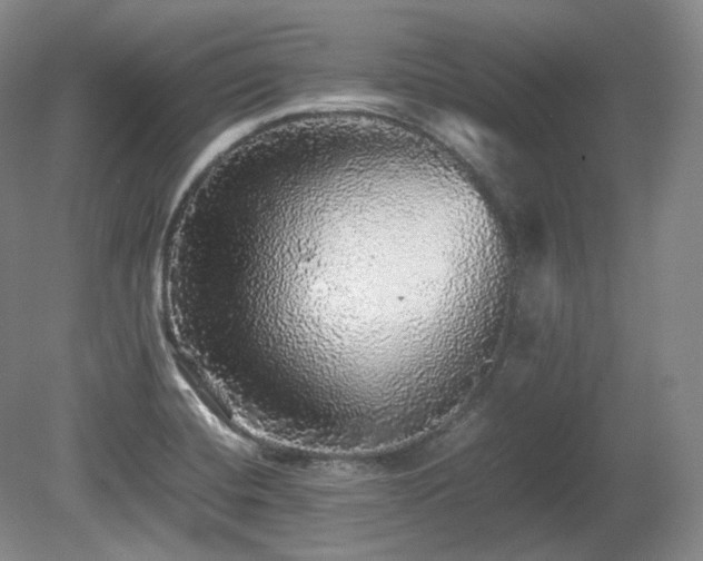 X0000080681420200612151211