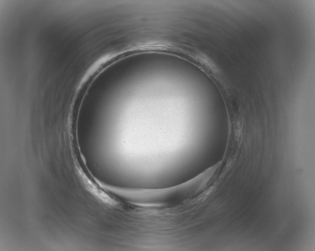X0000080681422200612151211