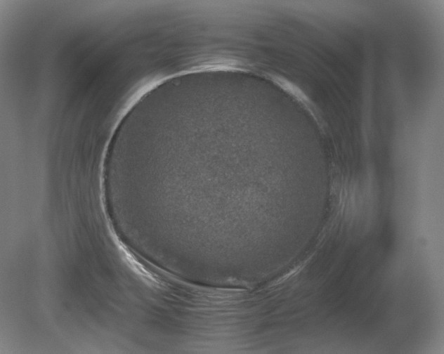 X0000080681423200612151211
