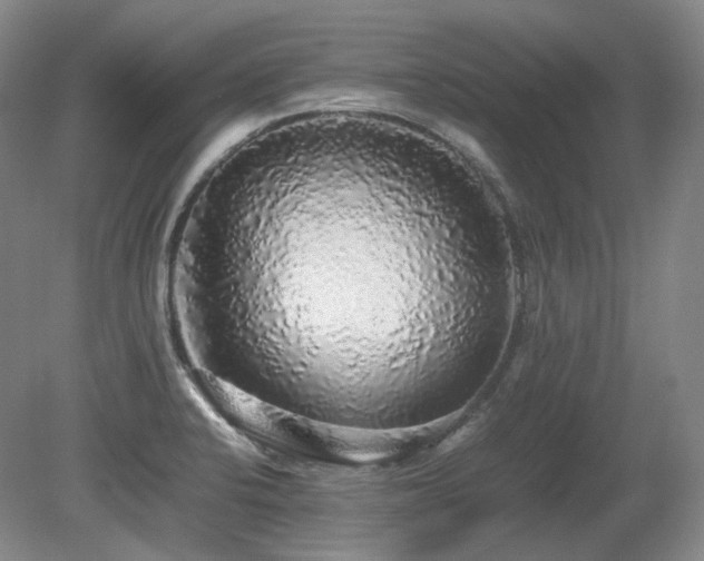 X0000080681424200612151211