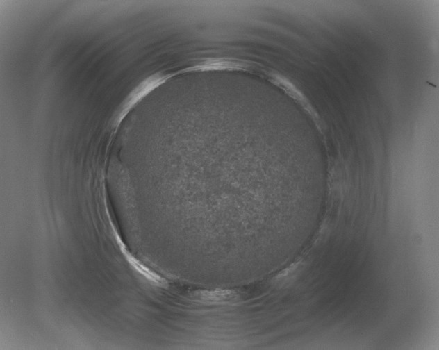 X0000080681425200612151211