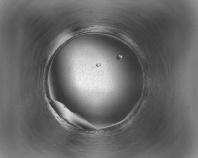 X0000080681426200612151211