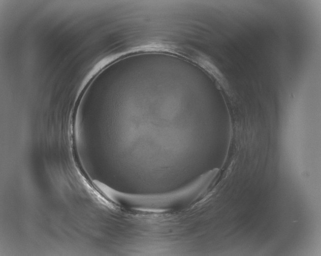 X0000080681428200612151211
