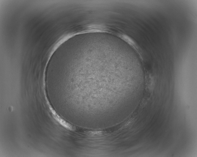 X0000080681431200612151211