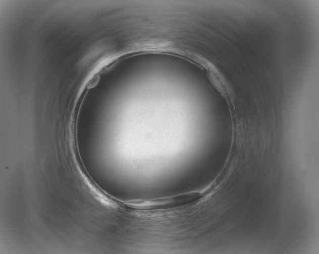 X0000080681432200612151211