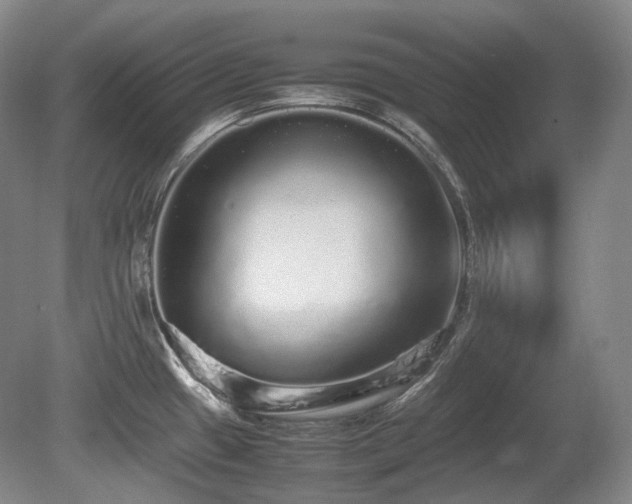 X0000080681433200612151211