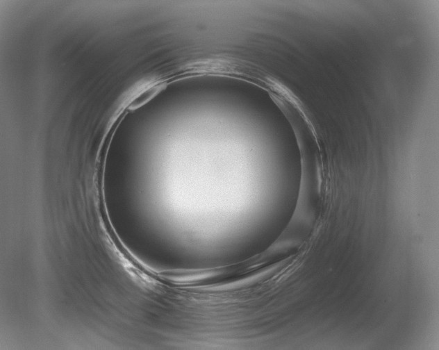 X0000080681434200612151211