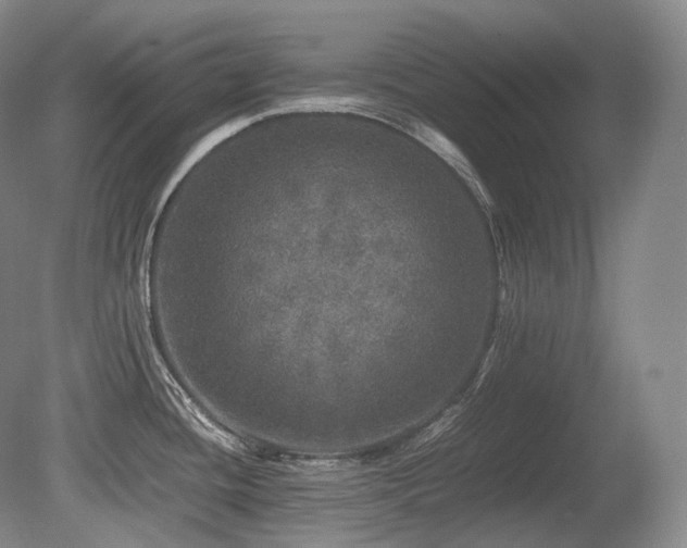 X0000080681436200612151211