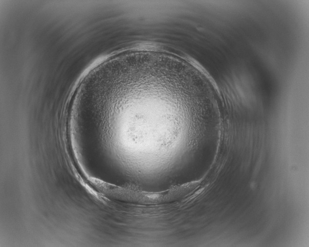 X0000080681437200612151211