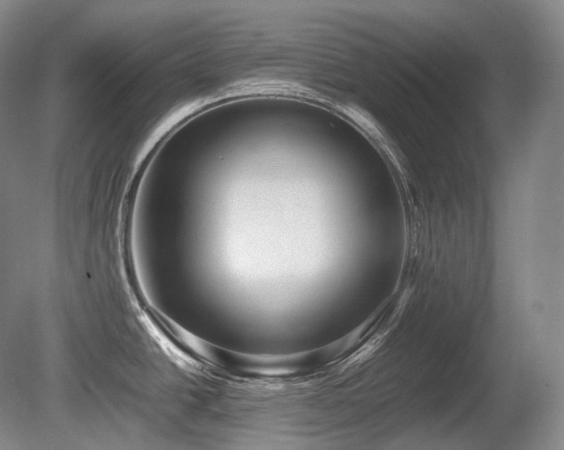 X0000080681438200612151211