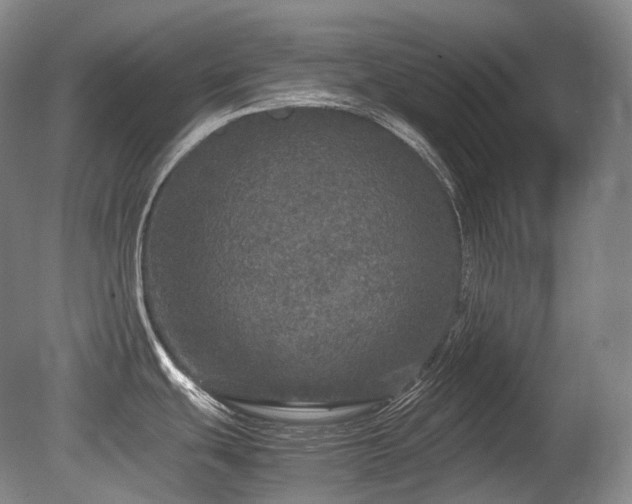 X0000080681439200612151211