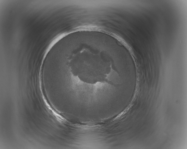 X0000080681440200612151211