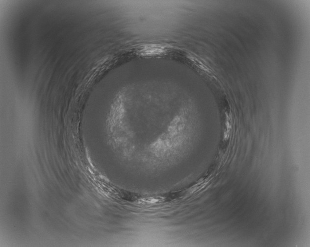X0000080681441200612151210