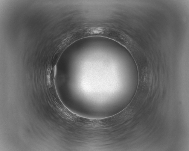 X0000080681442200612151210