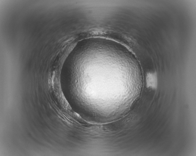 X0000080681444200612151210