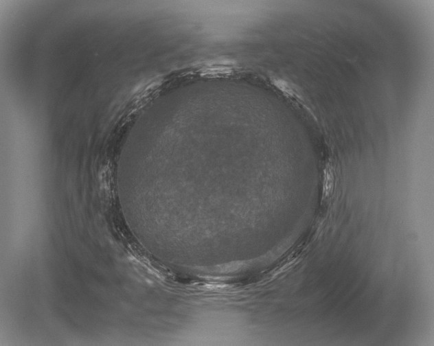 X0000080681445200612151210