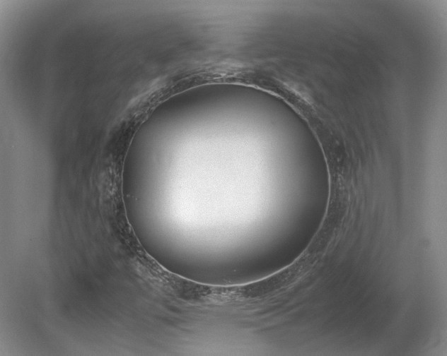 X0000080681447200612151210