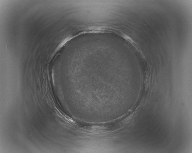 X0000080681449200612151210