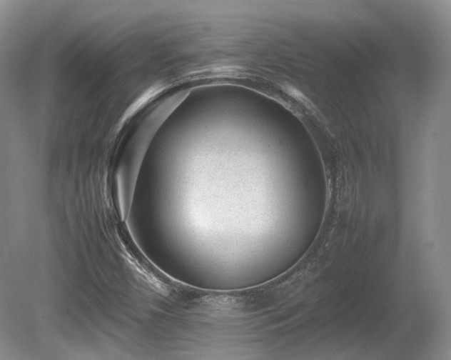 X0000080681450200612151210