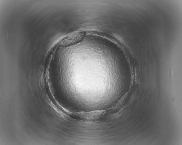 X0000080681452200612151210