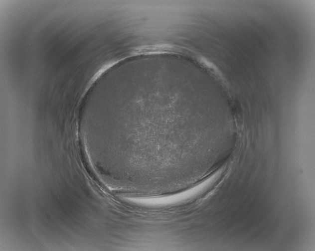 X0000080681457200612151210