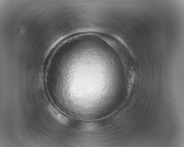 X0000080681460200612151210