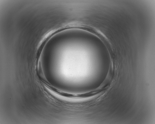 X0000080681461200612151210