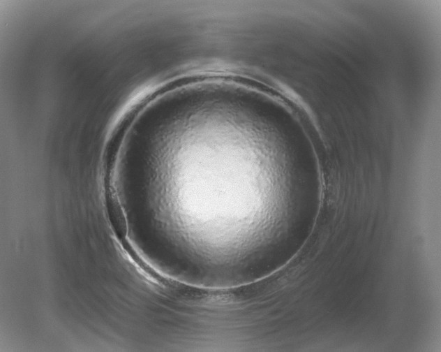 X0000080681464200612151210