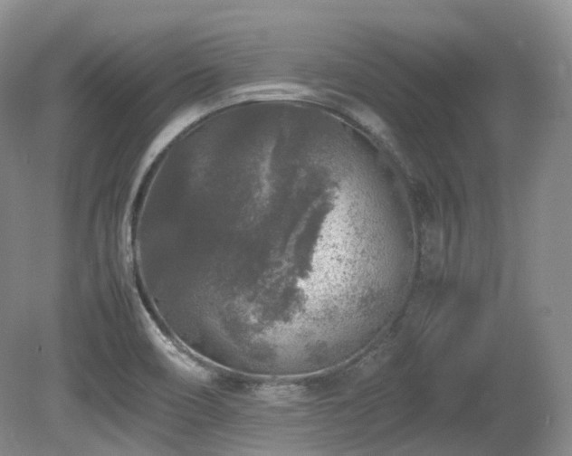 X0000080681466200612151210